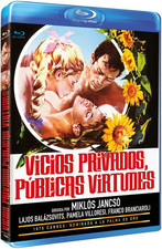 Viicios Privados, Públicas