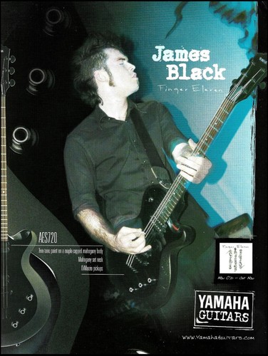 Stampa pubblicitaria chitarra