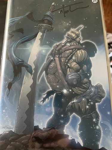 Tmnt last ronin - last, #2