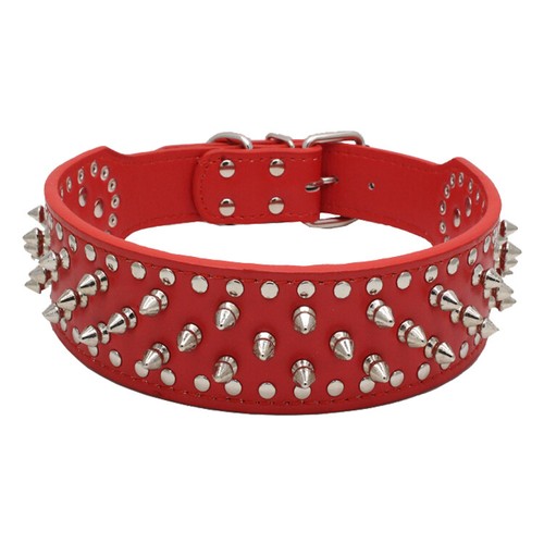 Collare cane pelle - , borchiata