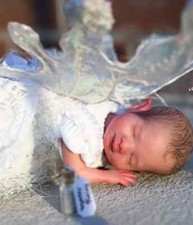 Mini bambola Wynter Fairy