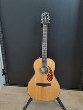 Chitarra elettrica acustica