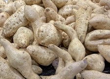 5 libbre Carne viola biologica