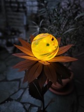 Fiore solare ruggine Maya