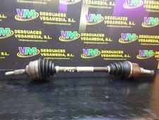 SEMIASSE ANTERIORE SINISTRA