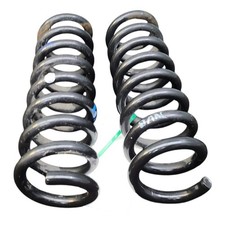 Molle elicoidali posteriori