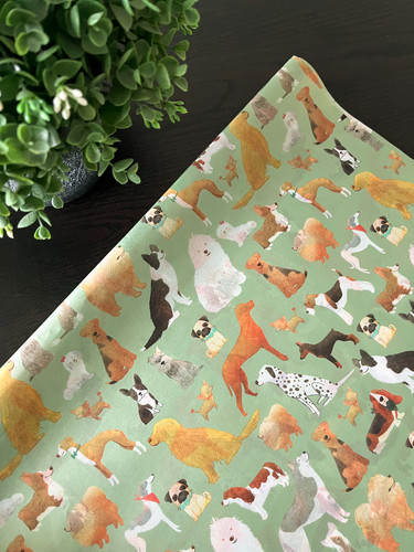 Best show design tissue - design,