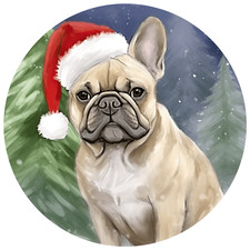 Bulldog francese cane auto