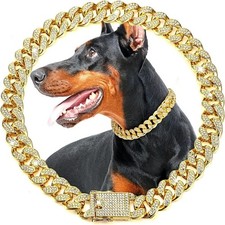 Luxury Gold Dog Collar Metal