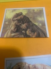 FIGURINA N.191 ANIMALI
