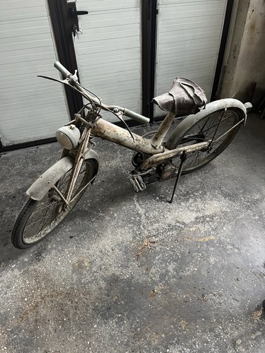 Mosquito garelli - mosquito,