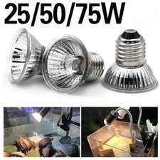 Lampadina rettile 25/50/75W