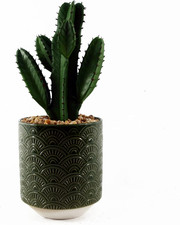 Design UK - Pianta Di Cactus Realistica in Vaso in Ceramica, 23 Cm