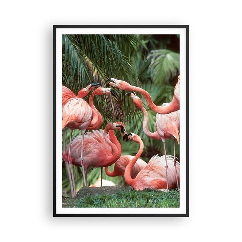 Poster 70x100cm palme mandria - 70x100cm,