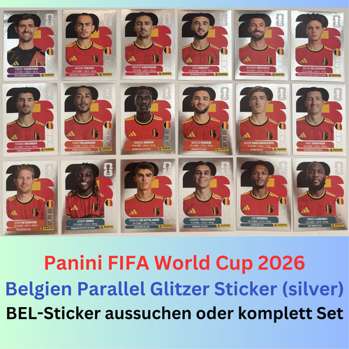 Panini fifa world cup - fifa,