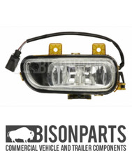 *FENDINEBBIA ANTERIORE