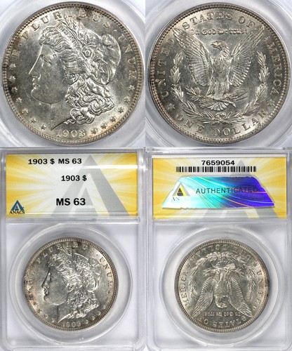 Dollaro morgan 1903 - 1,