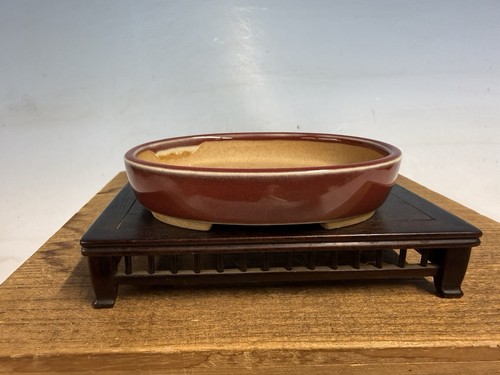 Bellissimo vaso per bonsai