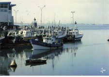 44 La Turballe #SAN49999