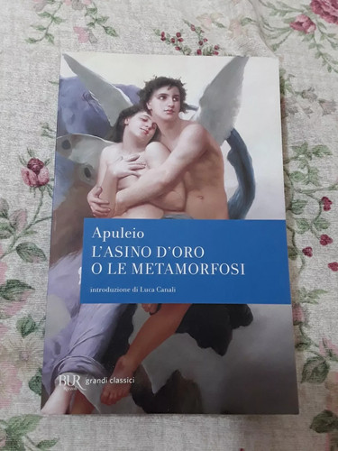 Apuleio asino oro o - d'oro, le