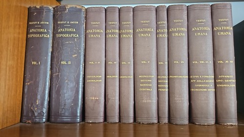 Testut 1917 1922 - 1917-1922, di
