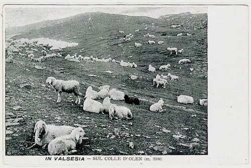 Vercelli valsesia sul colle - vercelli,