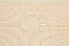 Vetro plexy per 25-125 Tudor