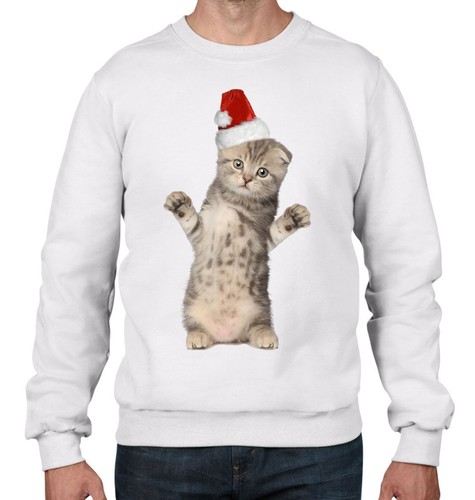 Gattino con babbo natale - babbo,