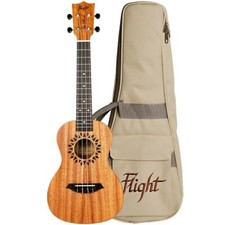 Ukulele Concert Flight in
