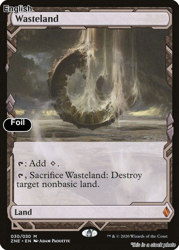 Wasteland zne lp - wasteland,