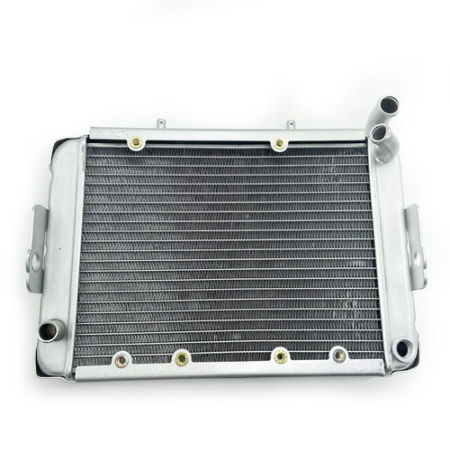 Radiatore assy for linhai - for,