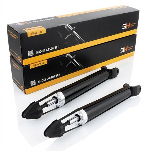 Coppia ammortizzatori gas - ammortizzatori, a