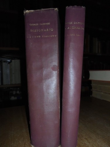 Dizionario della lingua - dizionario,