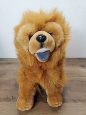 Aurora Chow Chow Red Brown