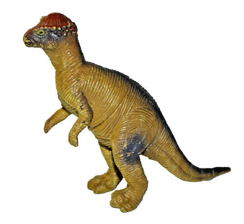 Pachycephalosaurus dinosauro - pachycephalosaurus,