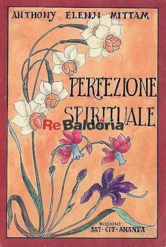 Perfezione spirituale missione - perfezione,