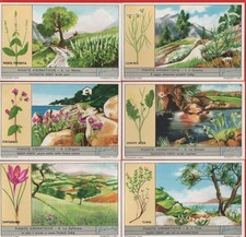 FIGURINE LIEBIG SERIE COMPLETA