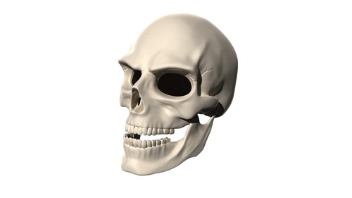 Maschera ghost rider - maschera,