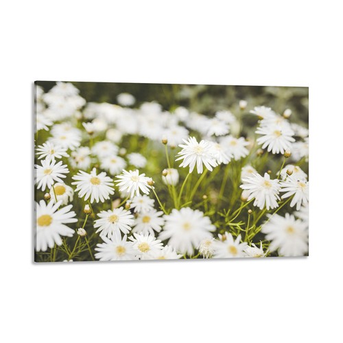 Quadro stampa tela con - quadro,