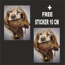 adesivo setter inglese con beccaccia caccia  + ADESIVO DA 10 CM IN OMAGGIO
