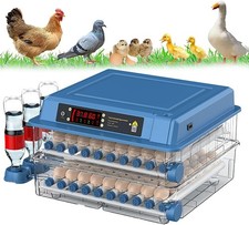 Incubatrice per uova