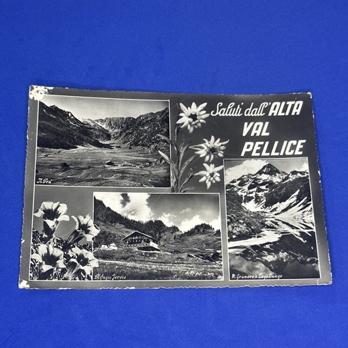 Saluti dall alta val pellice - saluti, dall'alta