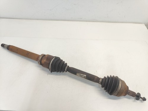 Semiasse anteriore abs - anteriore,