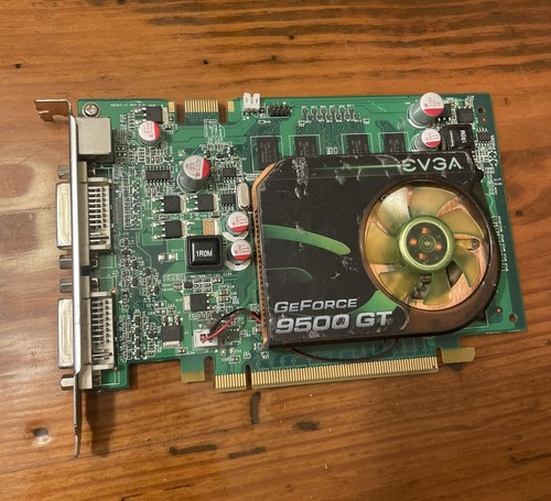 Scheda grafica evga nvidia - scheda,