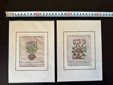 Xilografia originale 1636 - 2