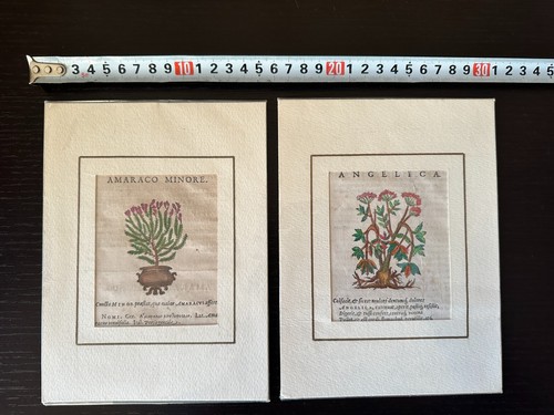 Xilografia originale 1636 2 - originale,