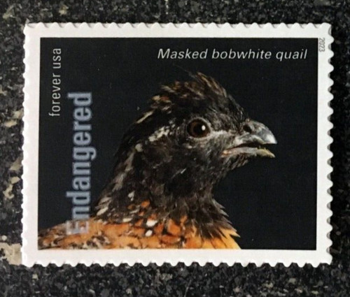 2023usa 5799g forever - #5799g,