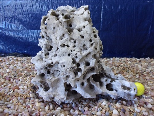 Texas holey rock - texas/tn,
