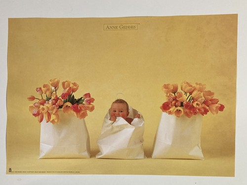 Ann geddes bambino un - ann,