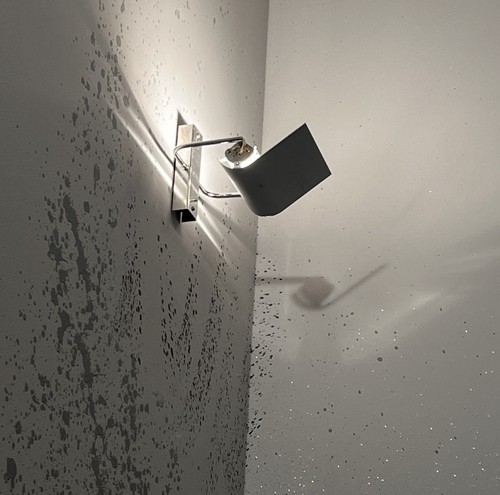 Fontanaarte scintilla - fontanaarte,